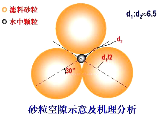 砂?？障妒疽饧皺C(jī)理分析